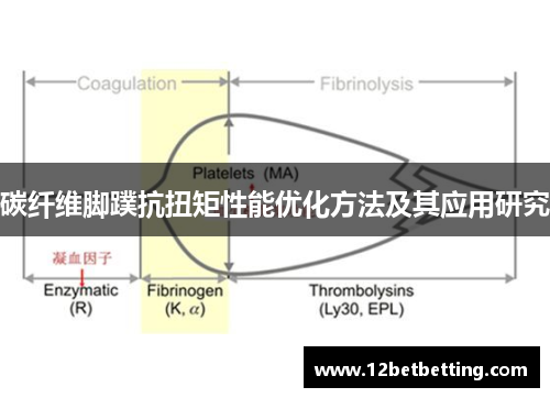 碳纤维脚蹼抗扭矩性能优化方法及其应用研究